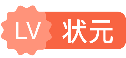 等级-LV9-岩旭软件